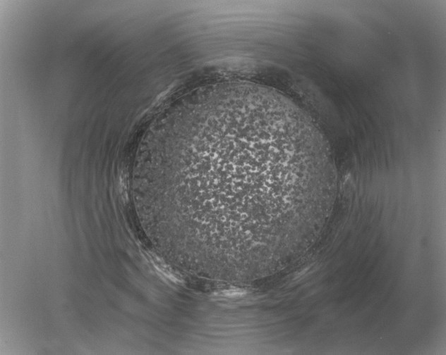 X0000078290772200611172121