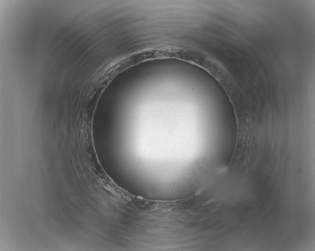 X0000078290773200611172121