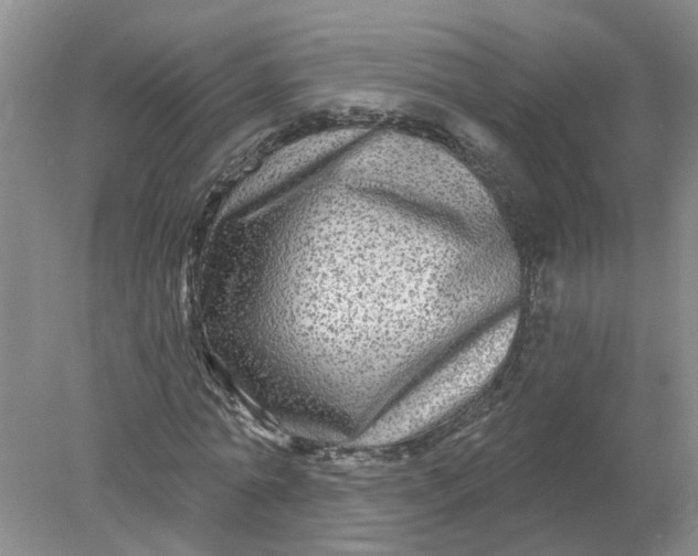 X0000078290774200611172121