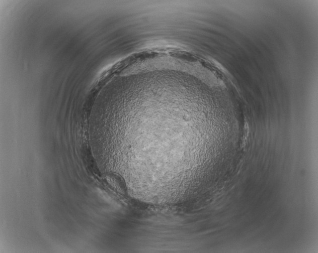 X0000078290775200611172121