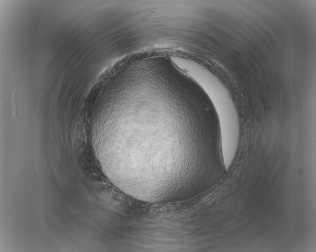 X0000078290776200611172121