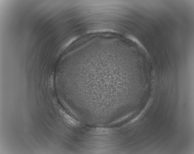 X0000078290777200611172121