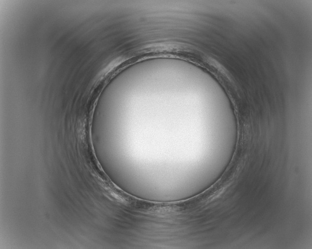 X0000078290778200611172121