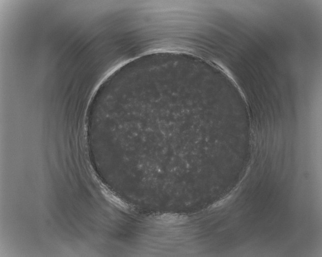 X0000078290779200611172121