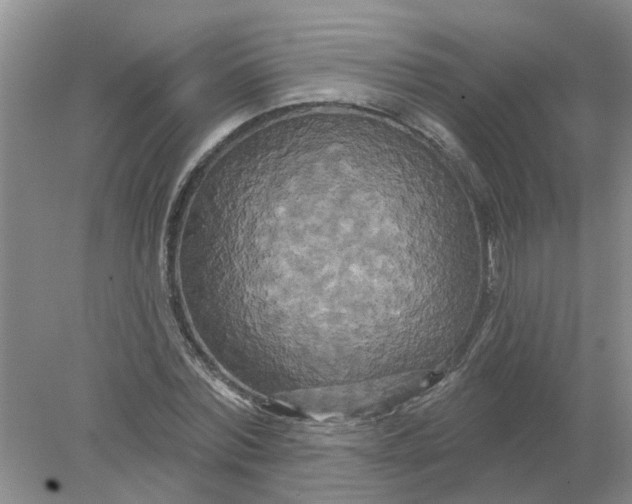 X0000078290780200611172121