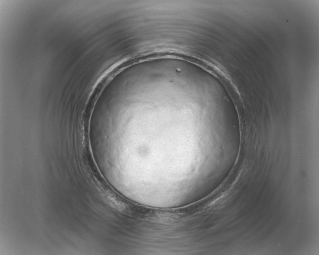 X0000078290782200611172121