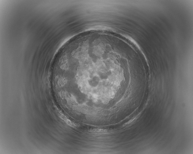 X0000078290783200611172121