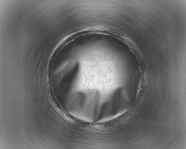 X0000078290784200611172121