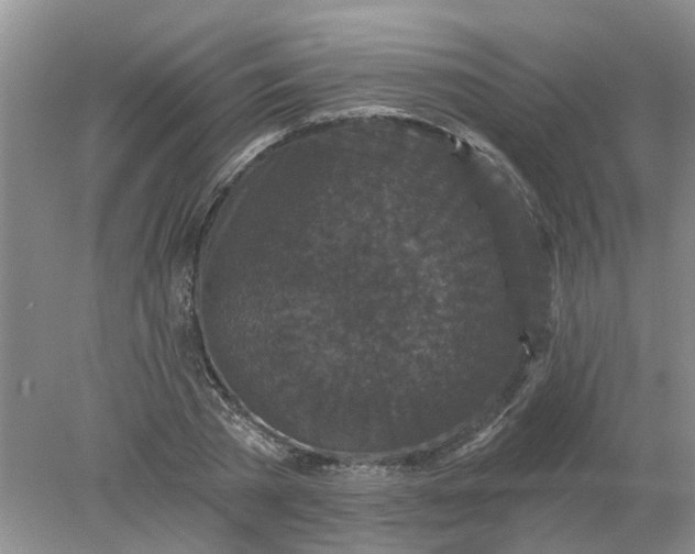 X0000078290785200611172121