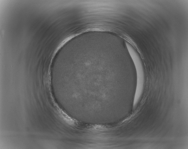 X0000078290787200611172121