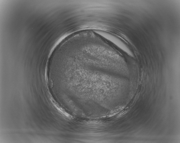 X0000078290788200611172121