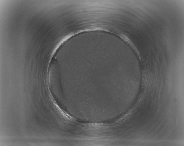 X0000078290789200611172121