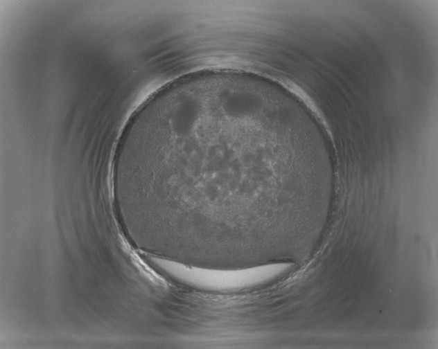 X0000078290791200611172121