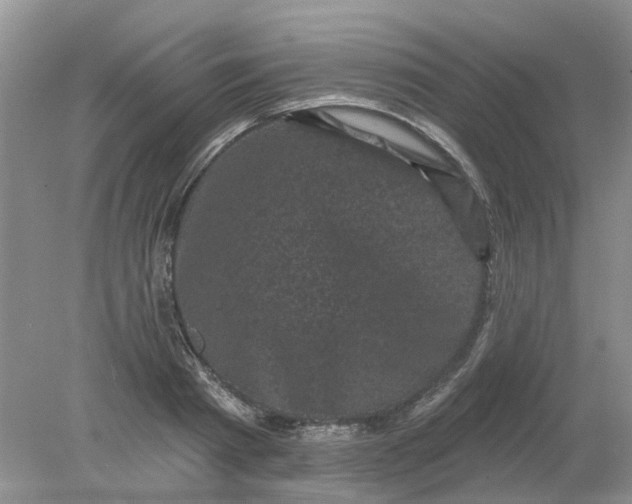 X0000078290793200611172121