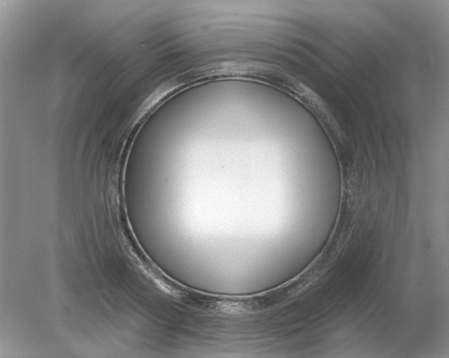 X0000078290794200611172121