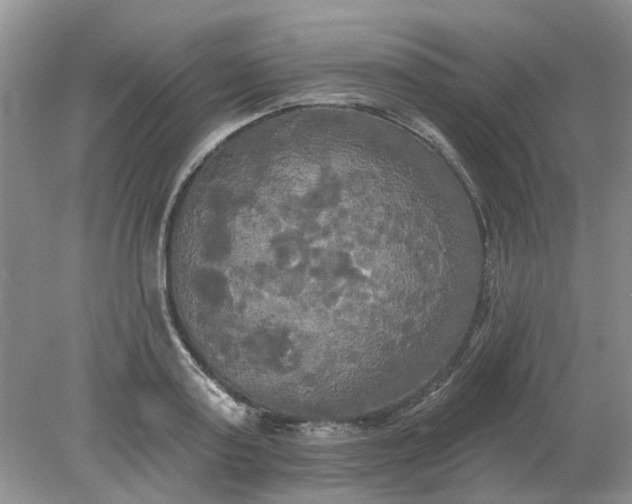 X0000078290795200611172121