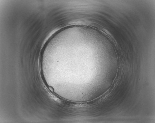 X0000078290796200611172121