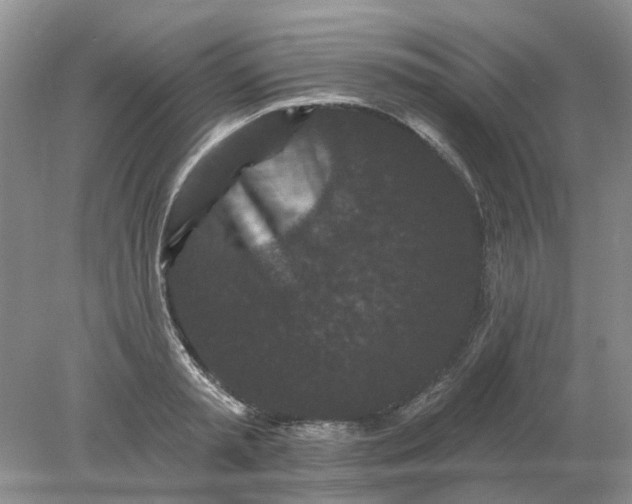 X0000078290797200611172121