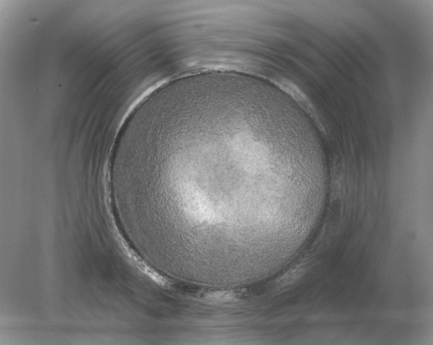 X0000078290798200611172121