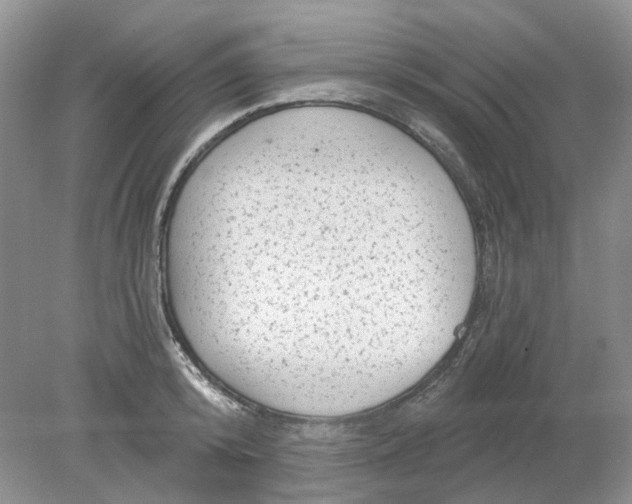 X0000078290800200611172121