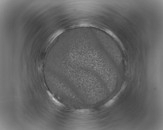 X0000078290801200611172121