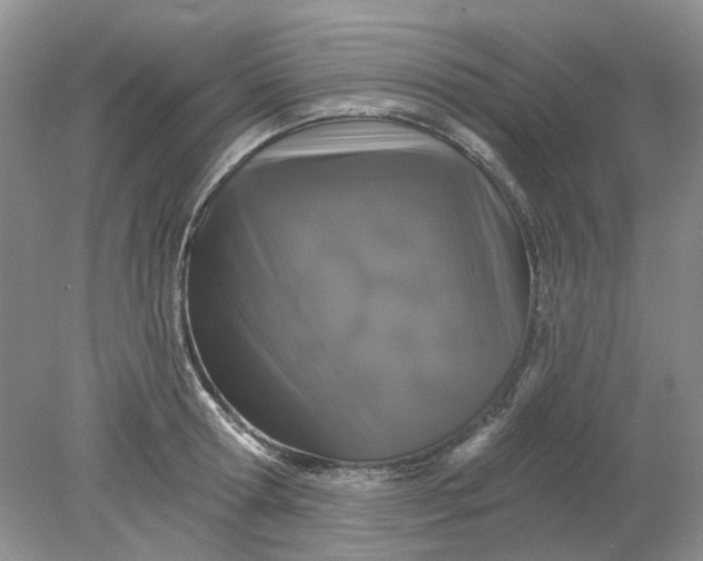 X0000078290802200611172121