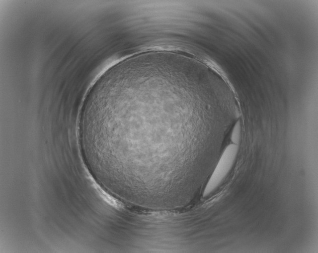 X0000078290803200611172121