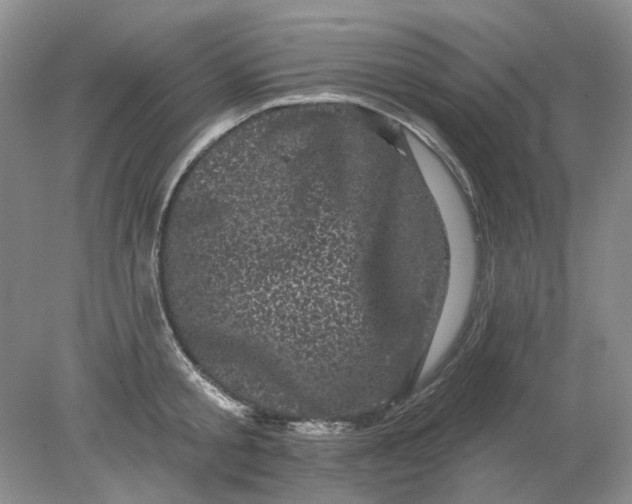 X0000078290805200611172121