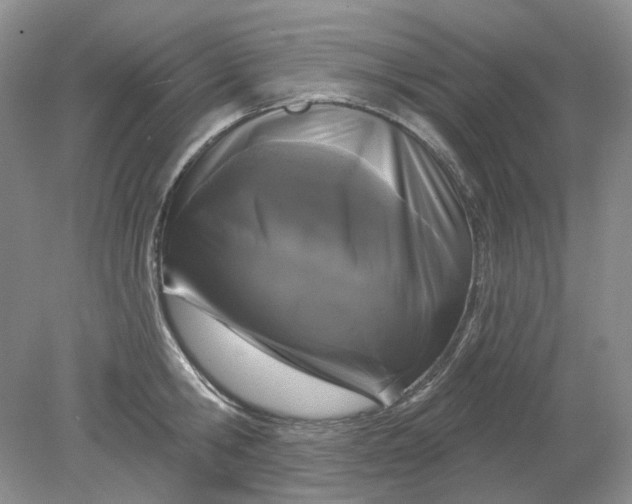 X0000078290806200611172121