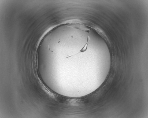 X0000078290808200611172121