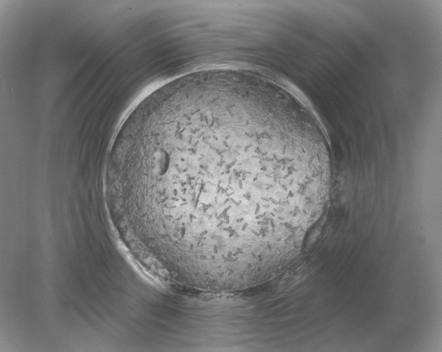 X0000078290811200611172121