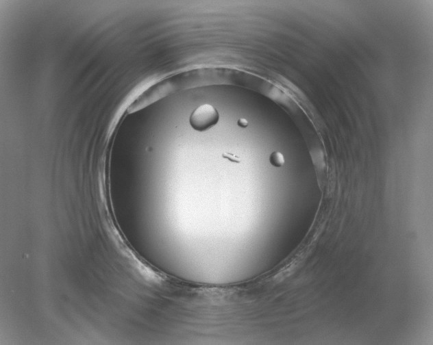 X0000078290812200611172121