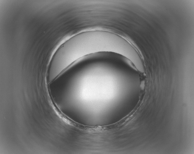 X0000078290813200611172121