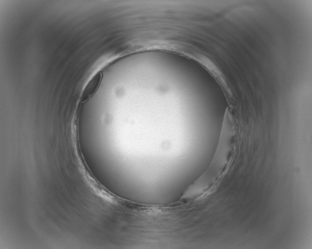 X0000078290814200611172121