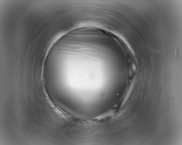 X0000078290815200611172121