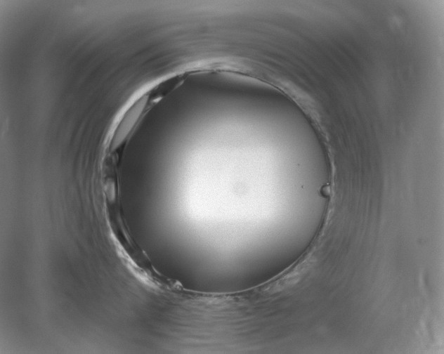 X0000078290816200611172121