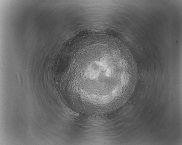 X0000078290817200611172120