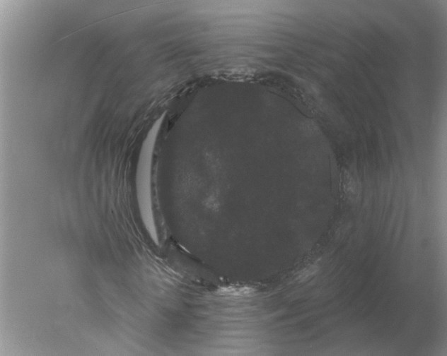 X0000078290818200611172120