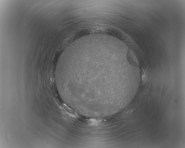 X0000078290819200611172120