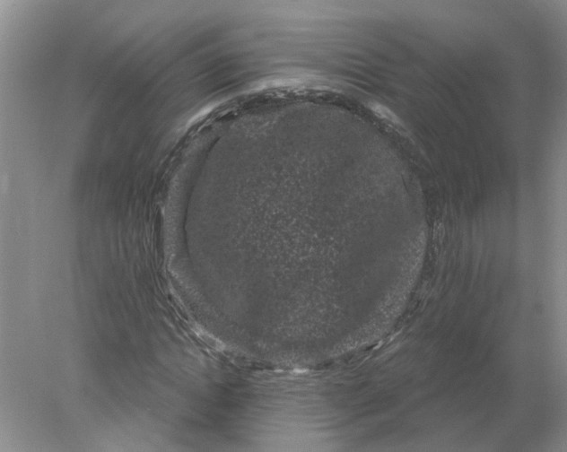 X0000078290822200611172120