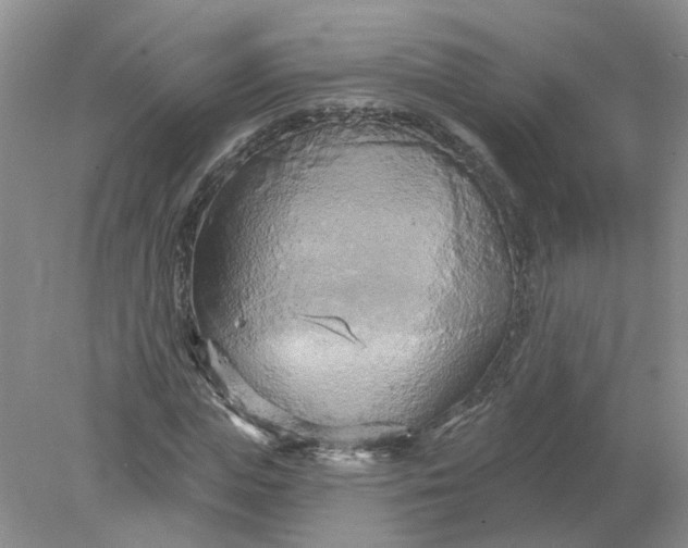 X0000078290823200611172120