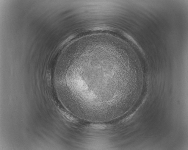 X0000078290825200611172120