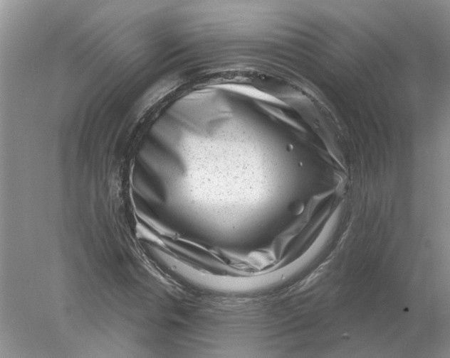 X0000078290826200611172120