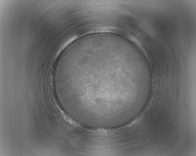 X0000078290827200611172120