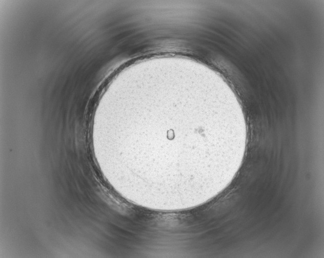 X0000078290828200611172120