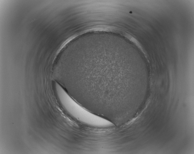 X0000078290829200611172120