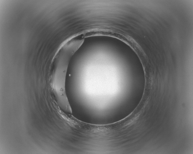 X0000078290830200611172120