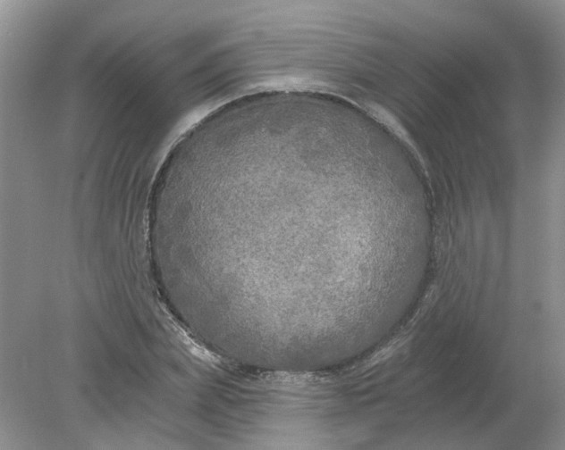 X0000078290831200611172120