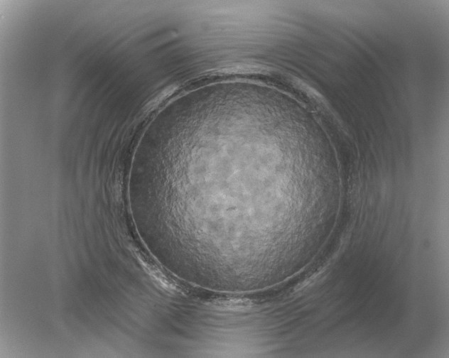 X0000078290833200611172120