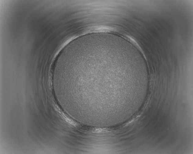 X0000078290835200611172120